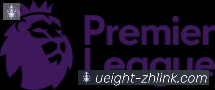 U8国际合作伙伴